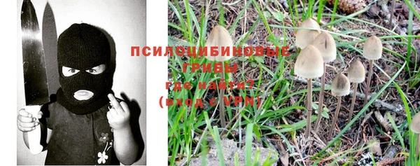 дурь Абинск