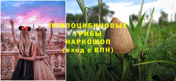 дурь Абинск