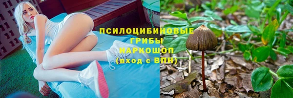 дурь Абинск