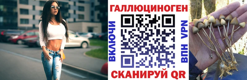 kraken онион  Новотроицк  Псилоцибиновые грибы Psilocybine cubensis 